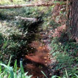 2409H 03 Oste Quellgebiet